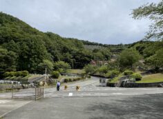 霊園　5区バス停駐車場から