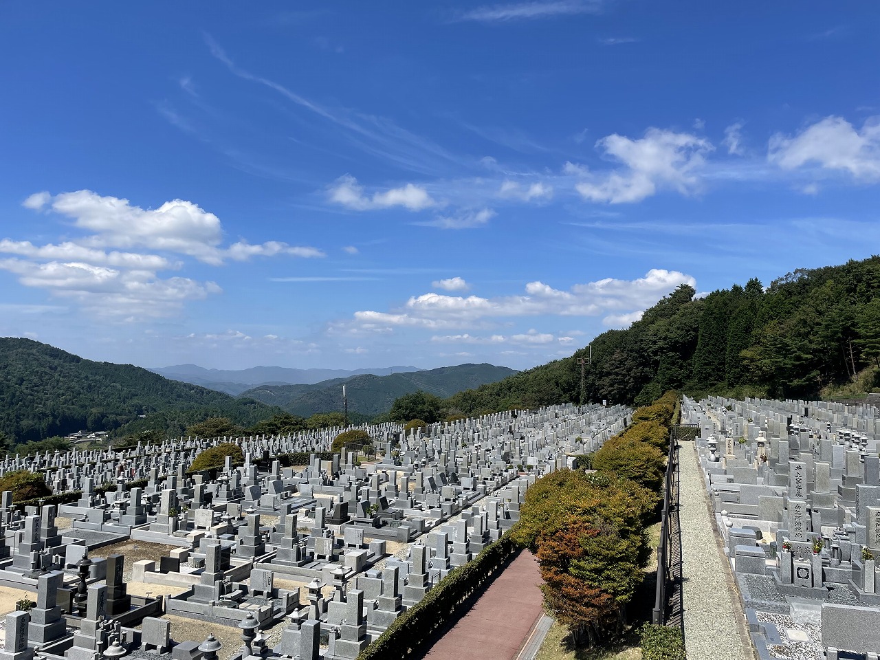 11区7番墓所から（北向）風景