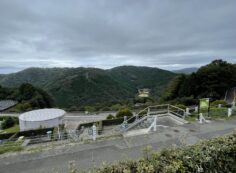 階段墓所枝道から7区バス停風景