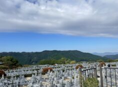 11区7番墓所から（北向き）風景