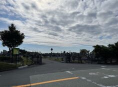 バス通り（南向き）1区4/6番墓所