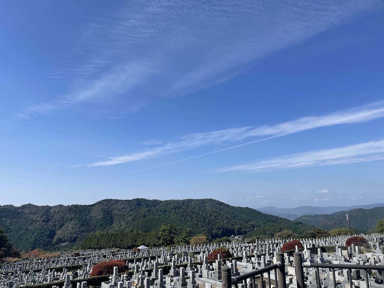 11区7番墓所から（西向き）風景