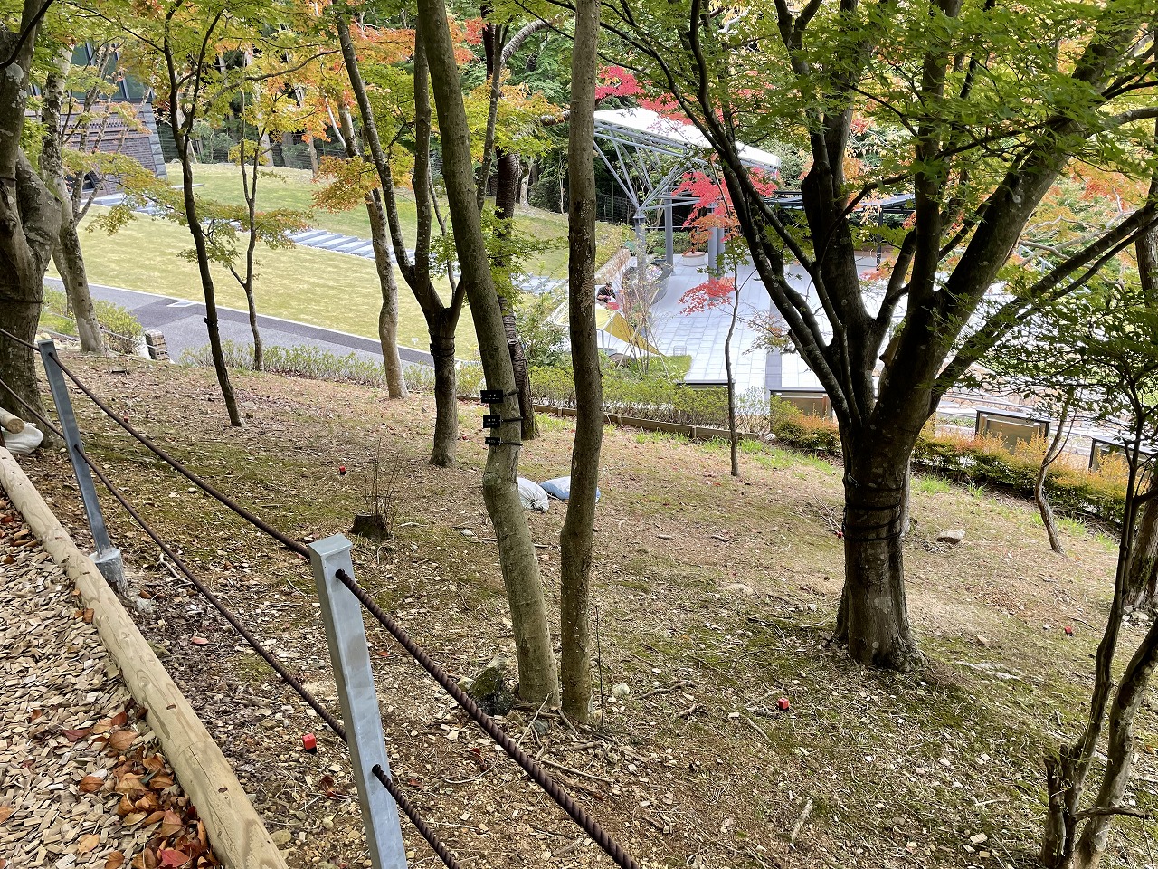 樹木葬墓地③