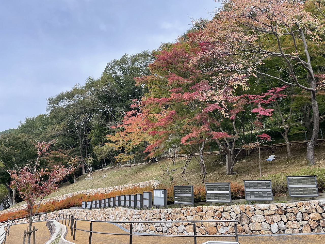 樹木葬墓地⑤