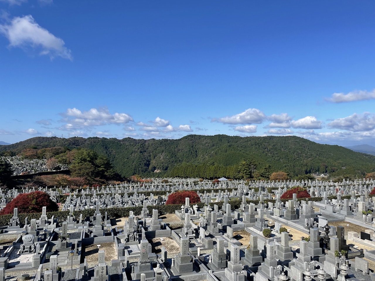 11区7番墓所から（西向）風景