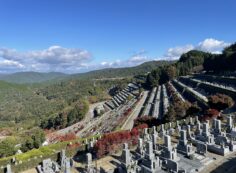 7区3番墓所上段駐車場から風景①