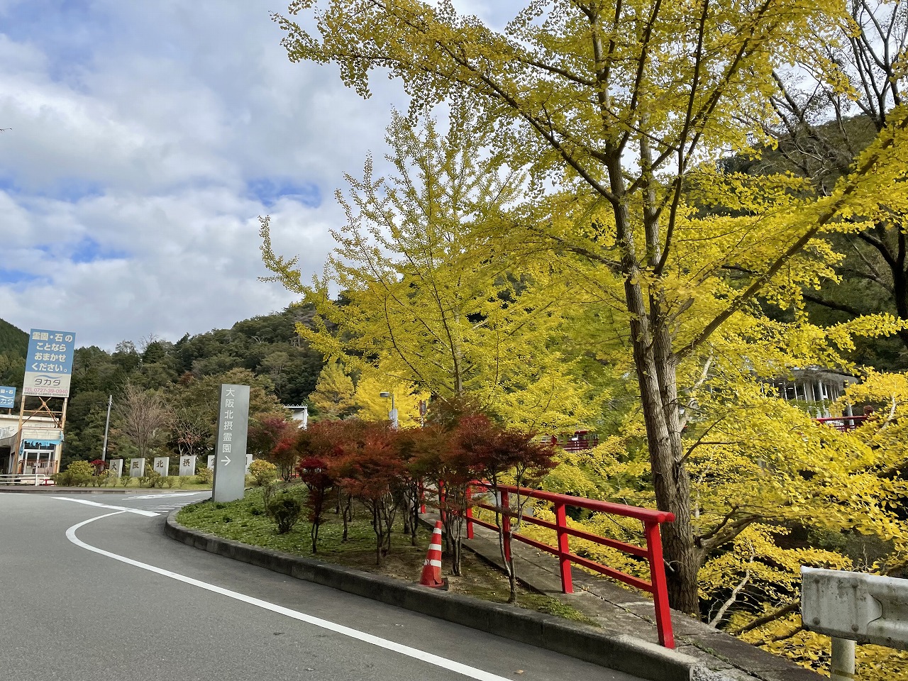 霊園正面入り口（銀杏）