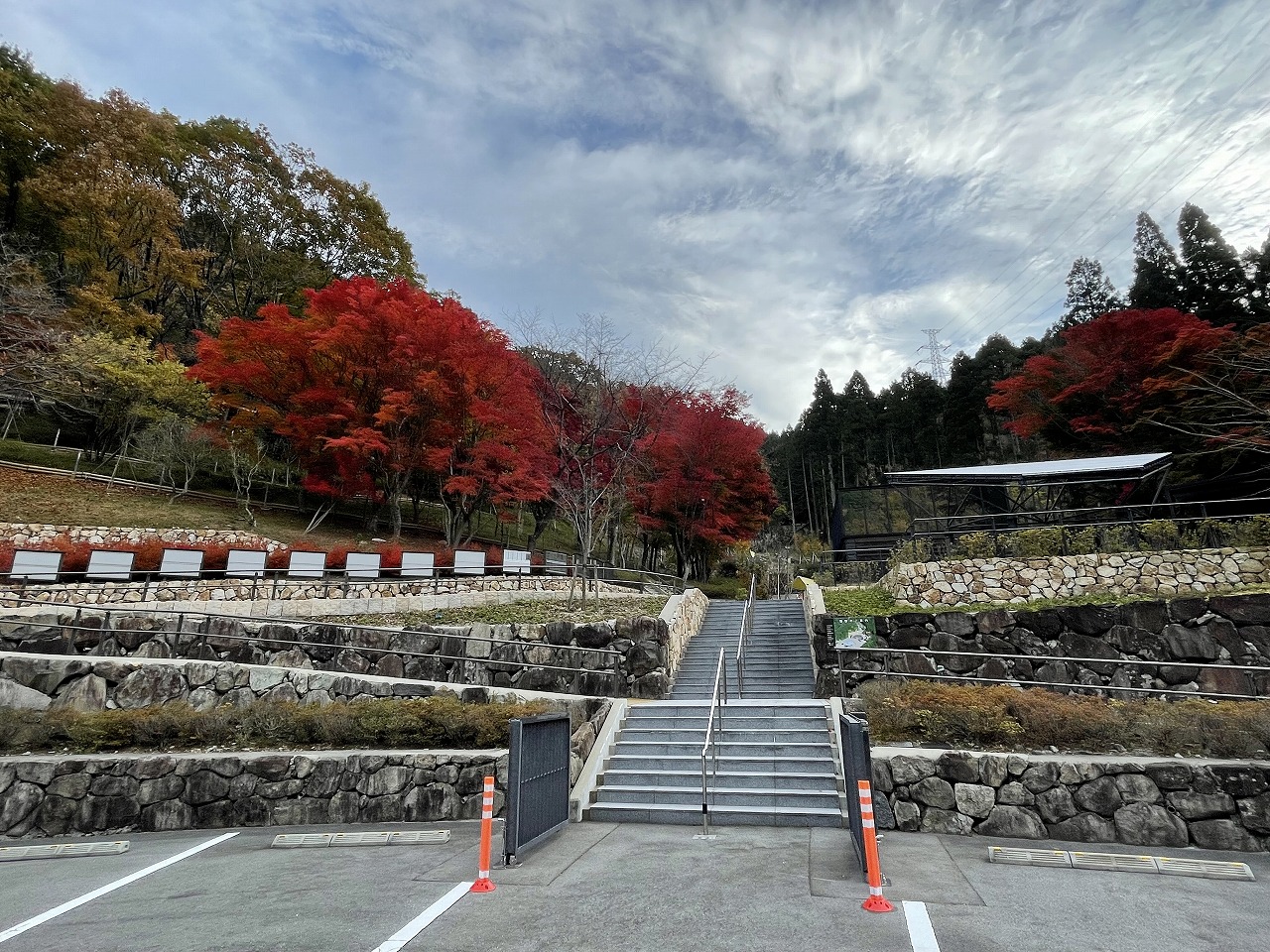 合葬式墓地・樹木葬墓地