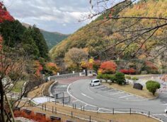 駐車場風景②