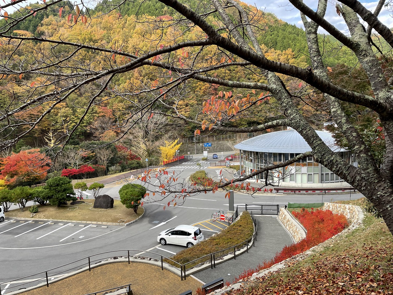 駐車場風景①