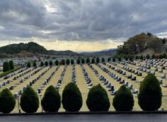 夕方・11区2番芝生墓所から南西風景