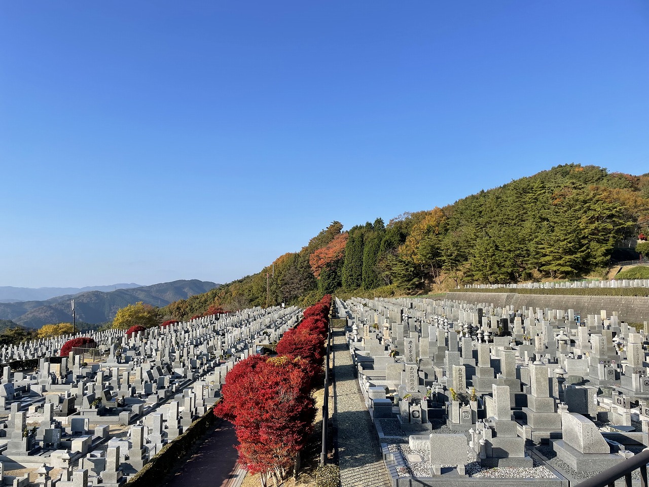 11区7番墓所から’（北向き）風景