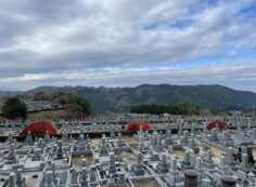 11区7番墓所から（西）風景