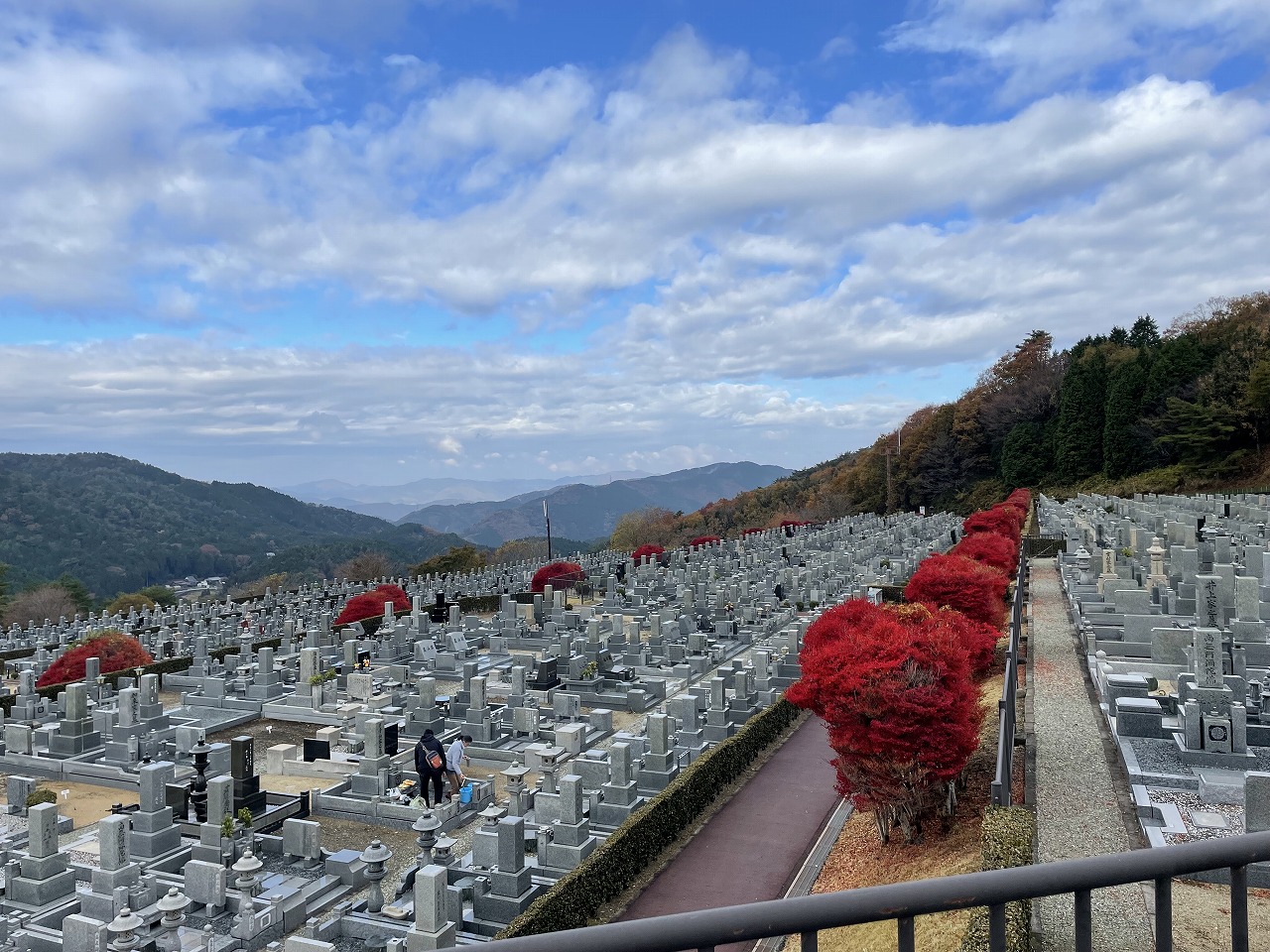 11区7番墓所から（北）風景