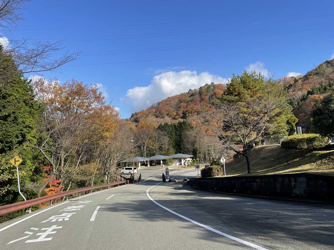 バス通り・5区墓所風景