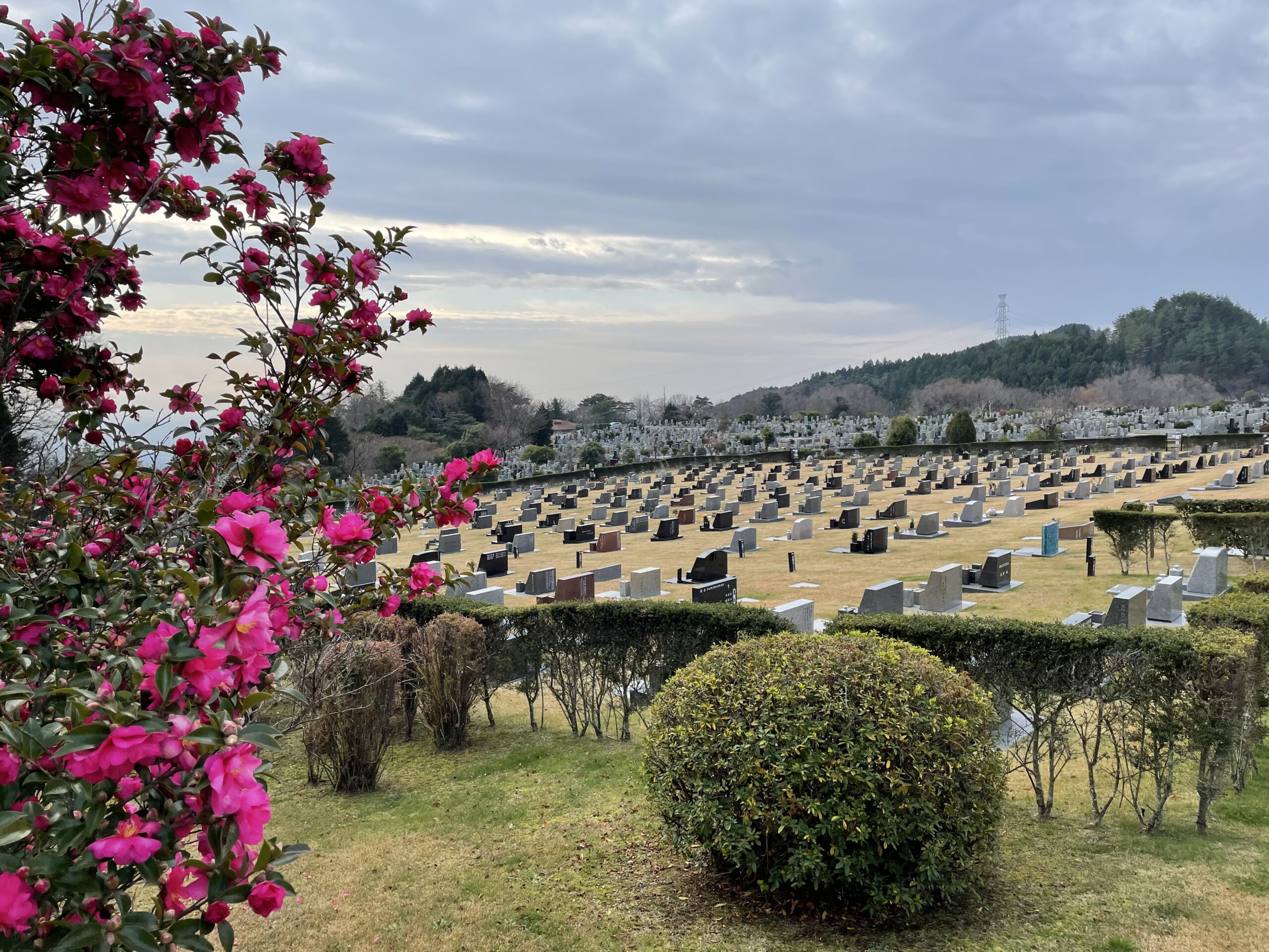 北口バス停から1区芝生墓所