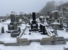 1区4番墓所内積雪・約10ｃｍ