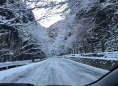 府道4号線霊園手前、日陰