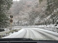 府道4号線　霊園まで積雪