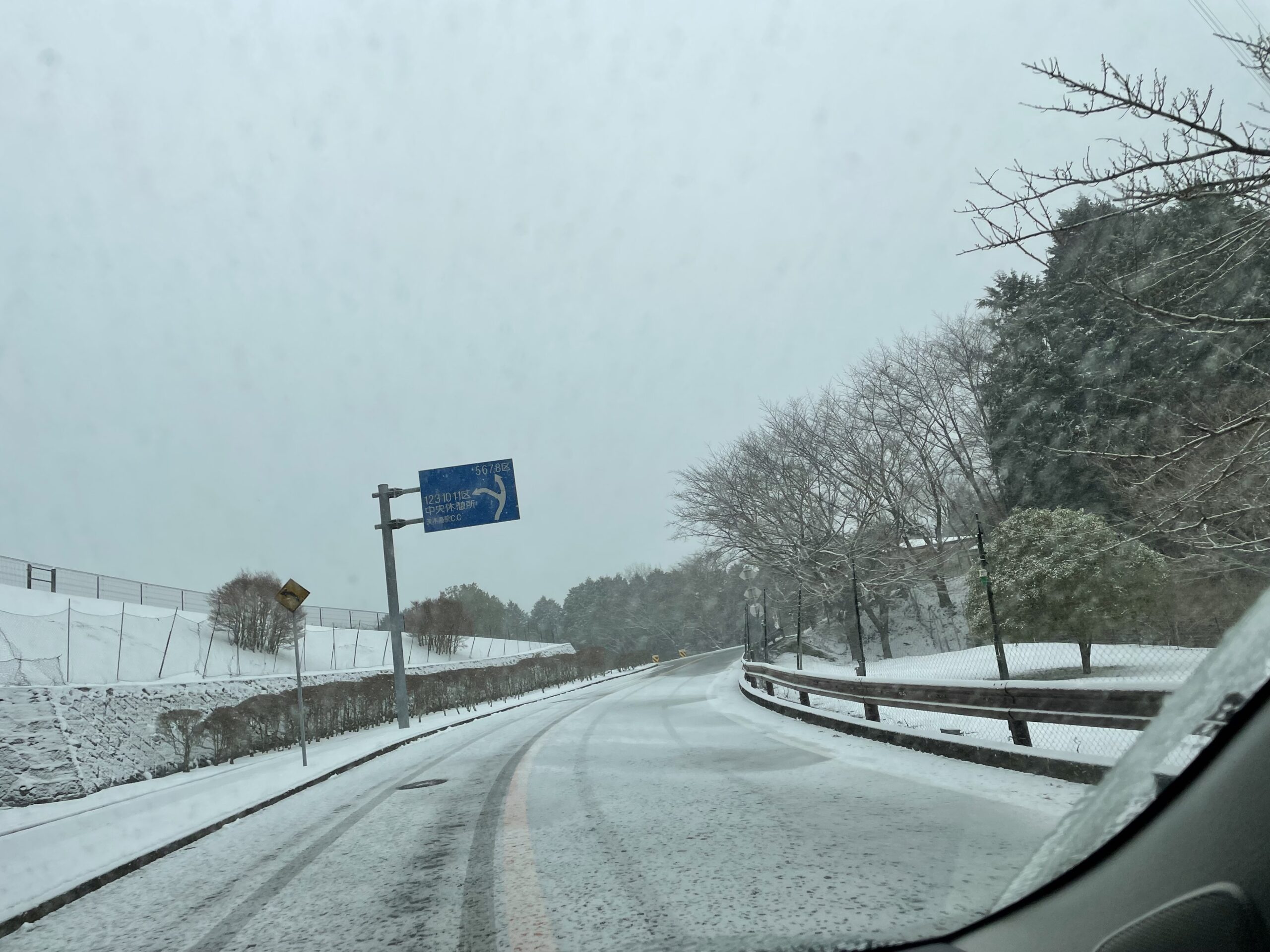 霊園内5区バス停手前バス通り