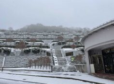 バス通り7区墓域・休憩所風景