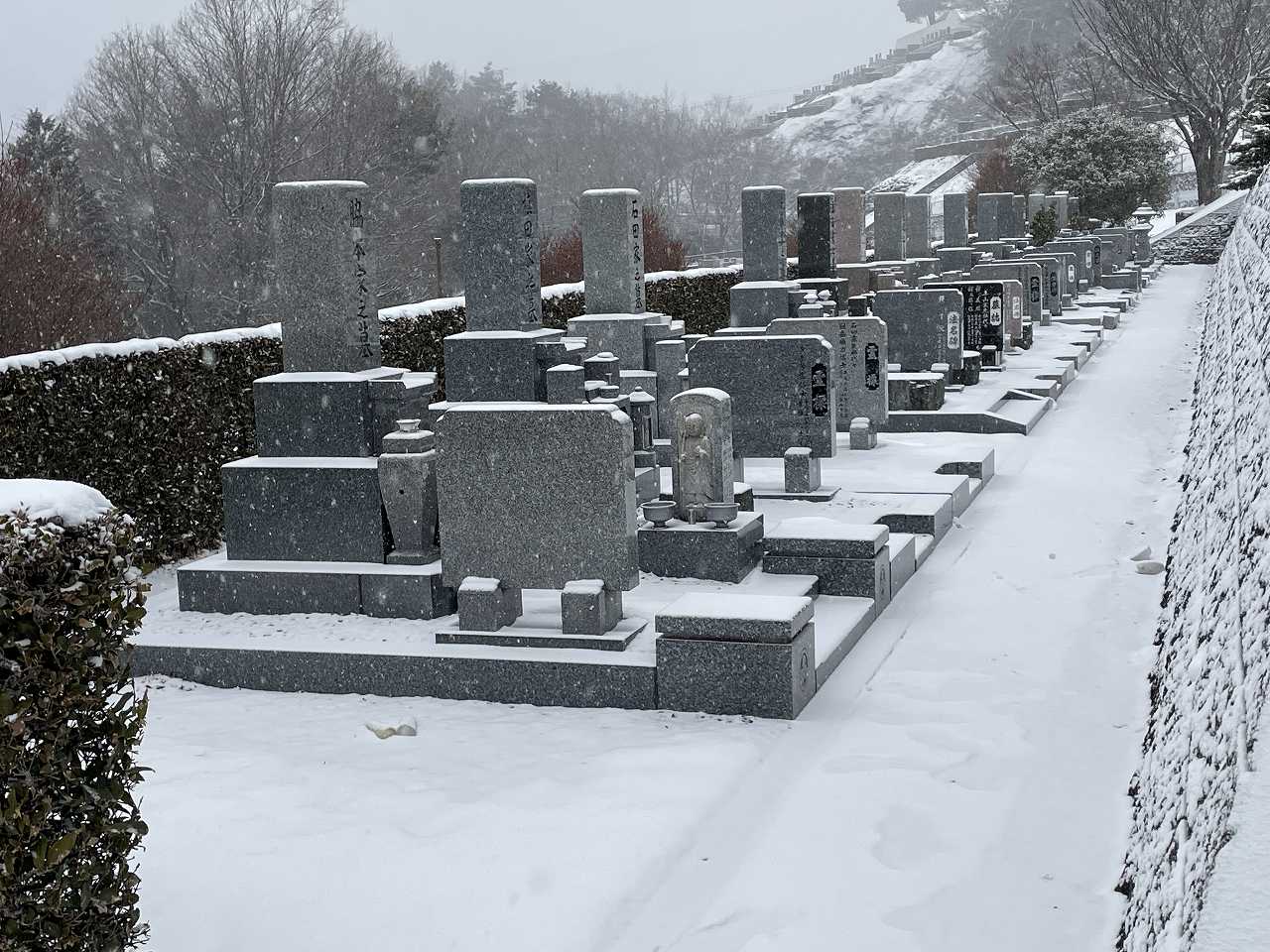 7区5番墓所内・積雪約10cm