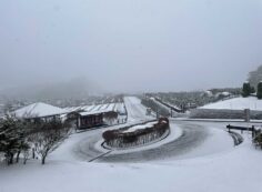 霊園北口からの園内風景