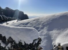 11区1番墓所残雪20cm