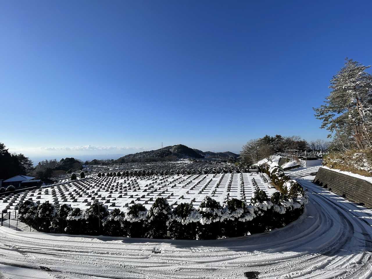 11区2番墓所から（南西方向）風景