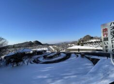 霊園北口からの園内風景