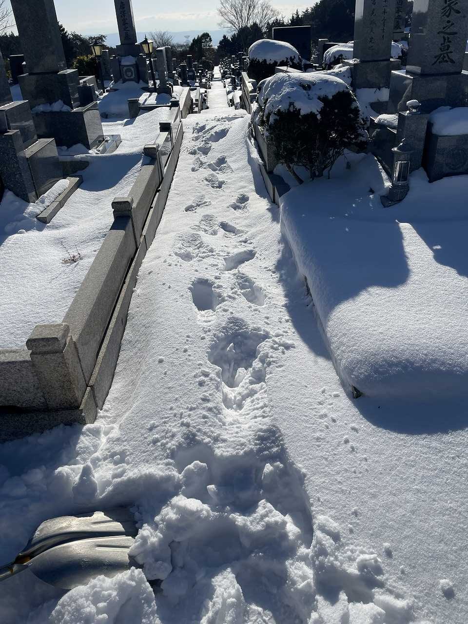1区4番墓所内残雪約20cm