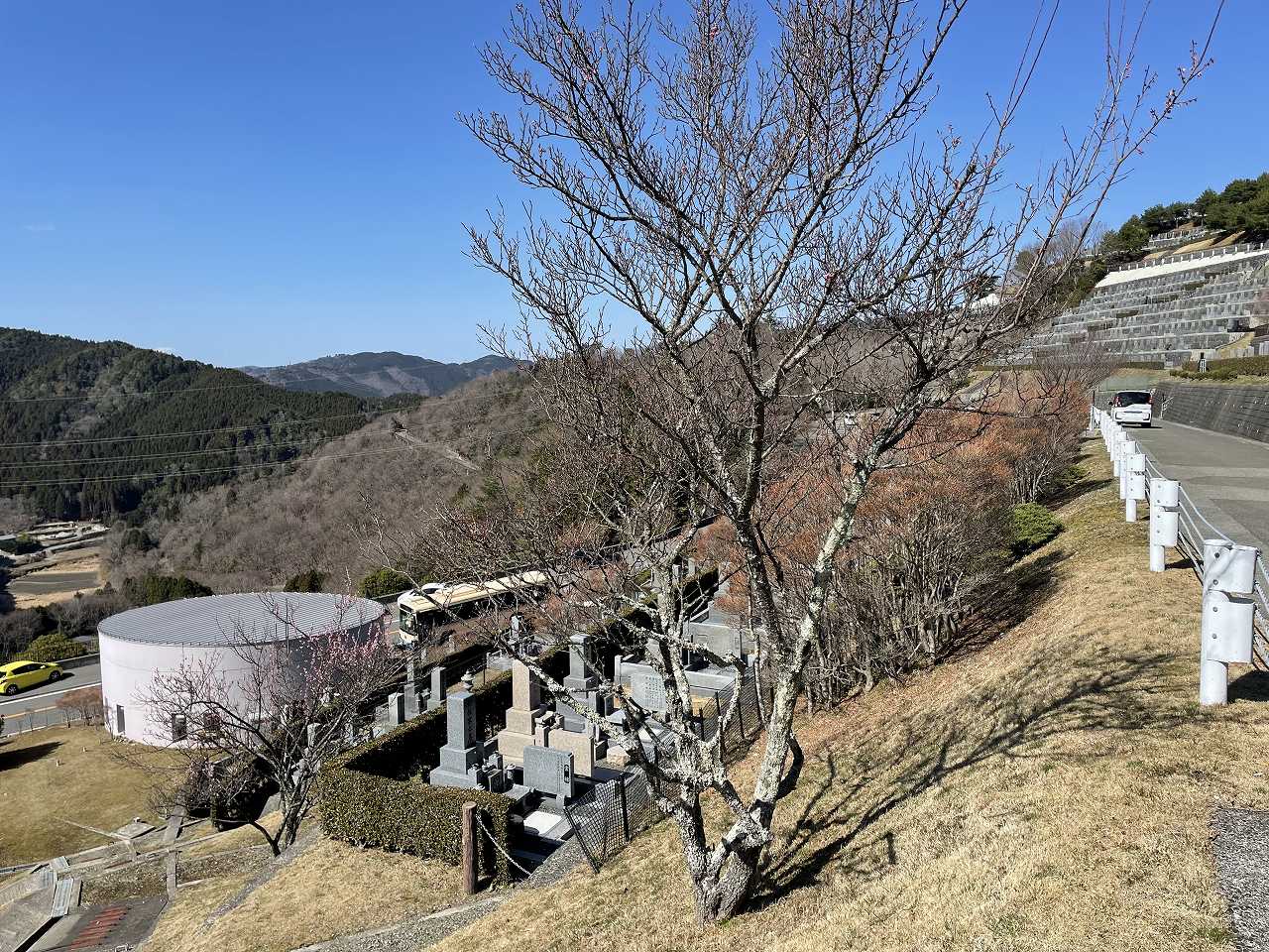 　7区階段墓所からの風景①