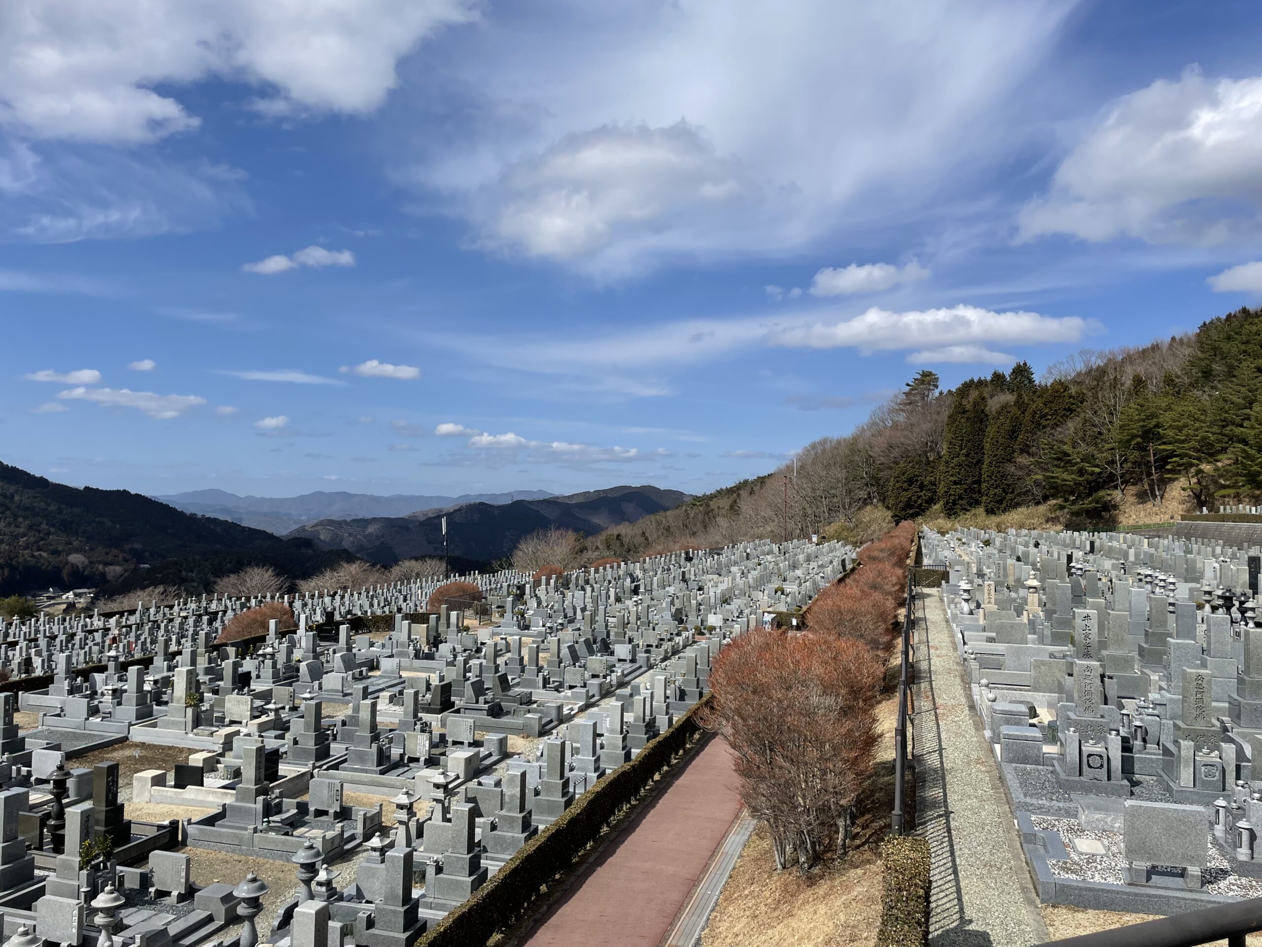 11区7番墓所から（北向き）風景