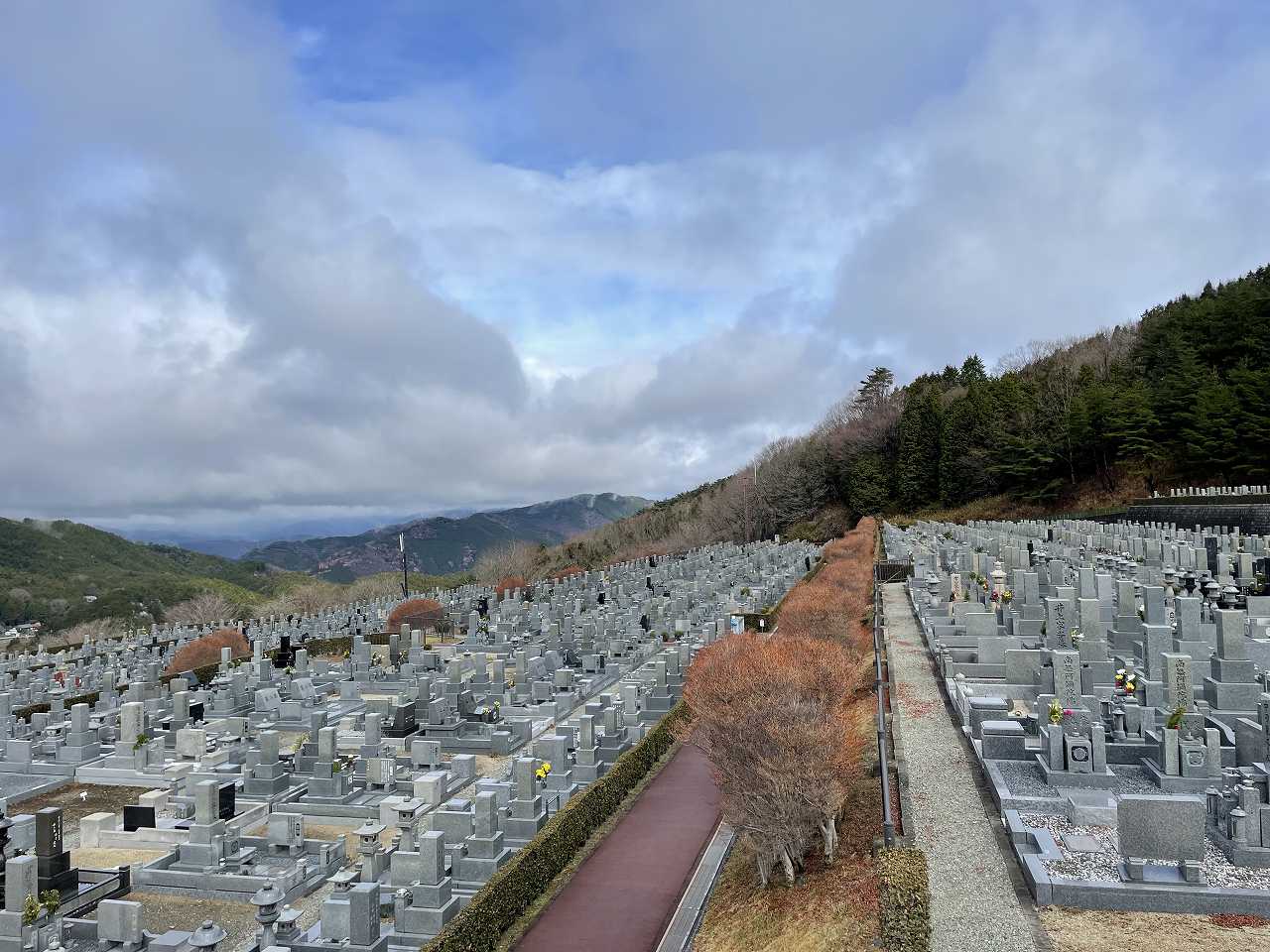 11区7番墓所から（北向き）風景