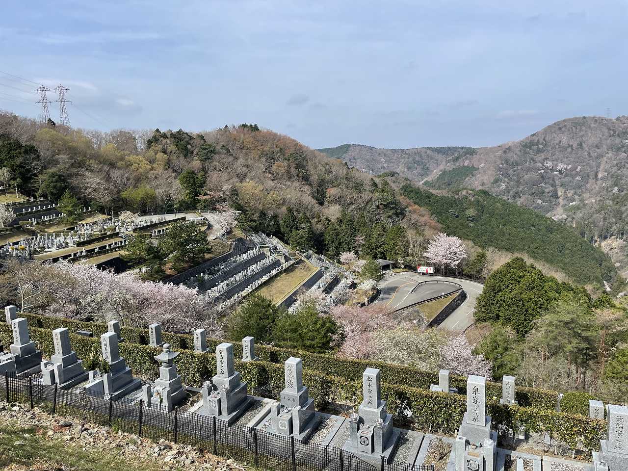 6区墓域風景