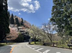 バス通りから右樹木葬墓地③