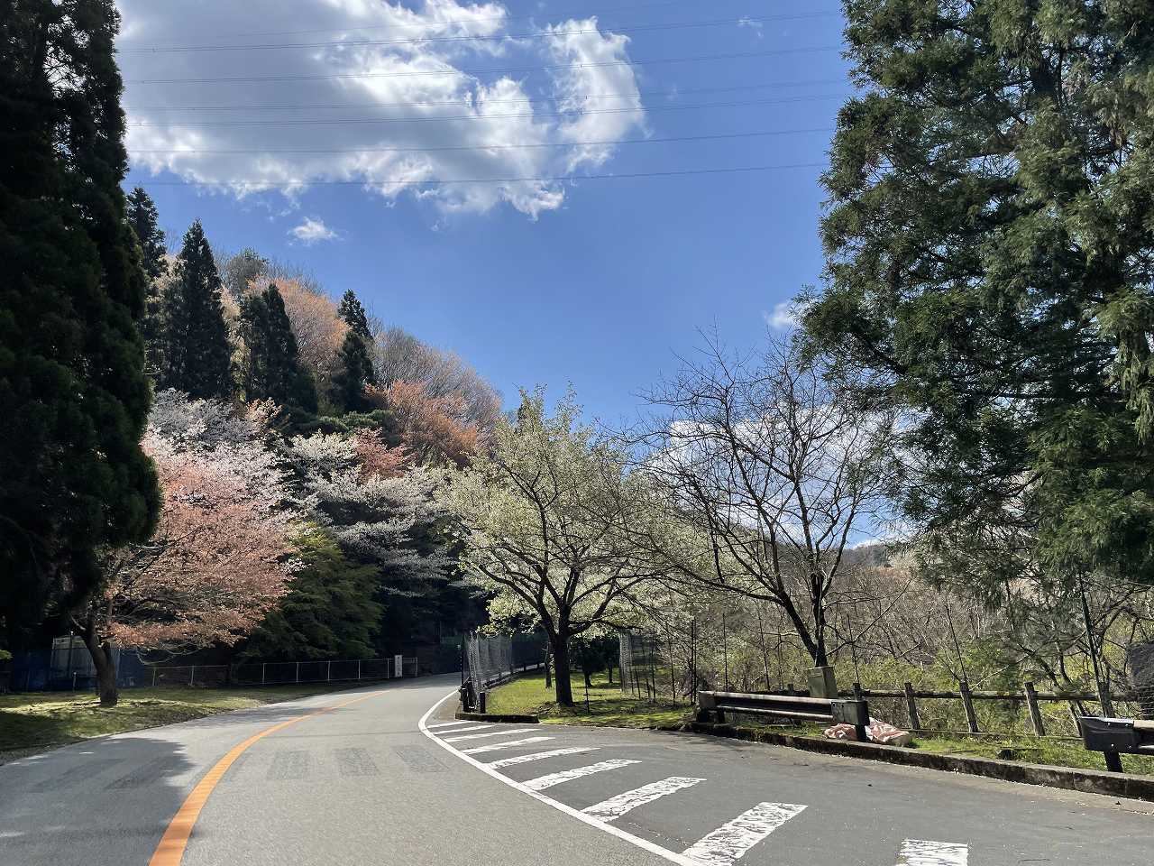 バス通りから右樹木葬墓地③