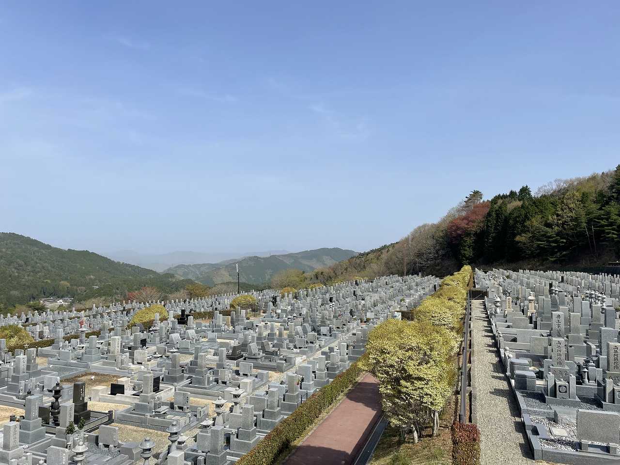 11区7番墓所から（北向き）風景