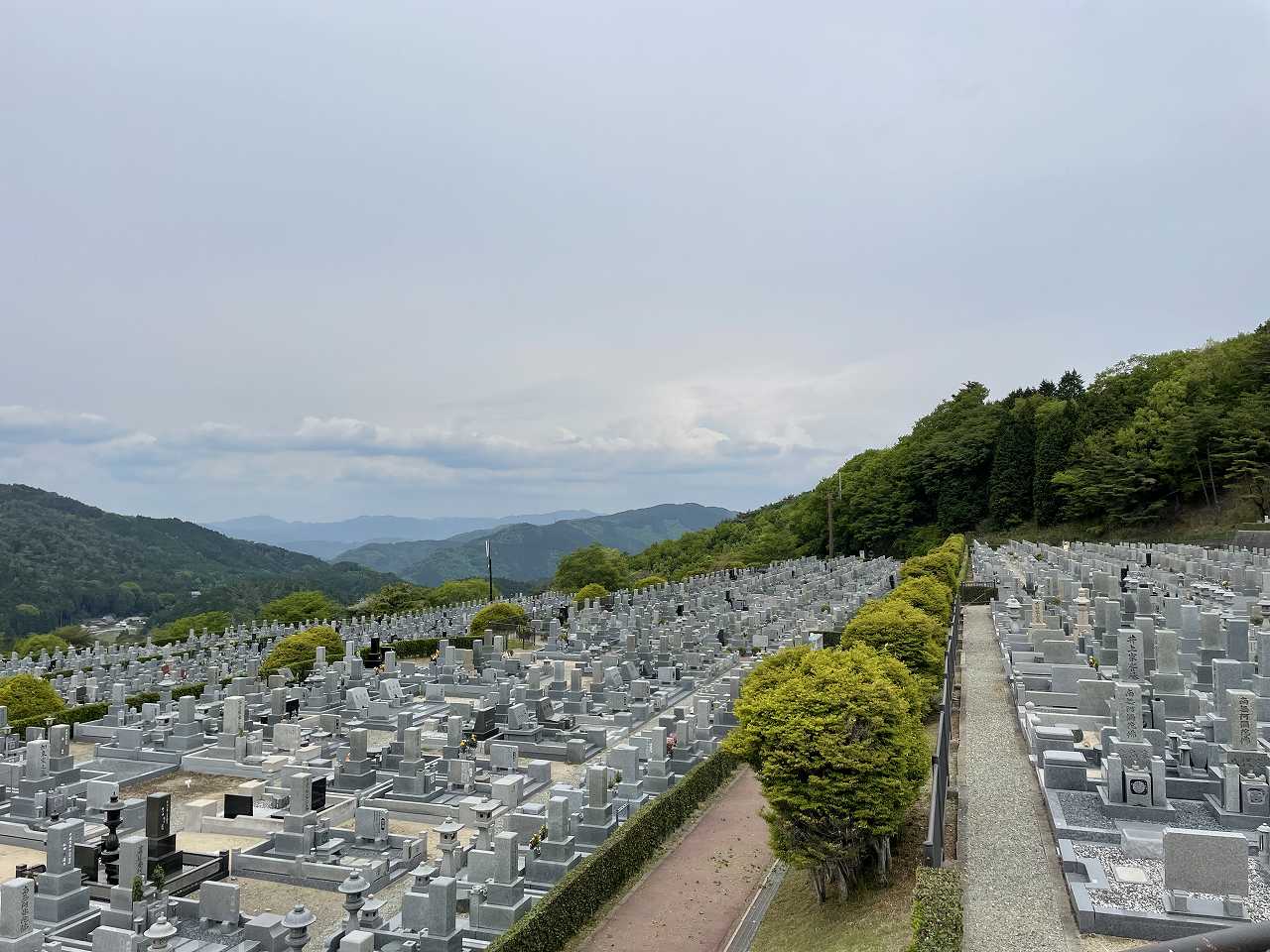 11区7番墓所から（北向）風景