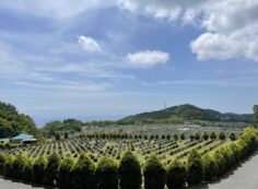 11区2番芝生墓所から（南西）風景