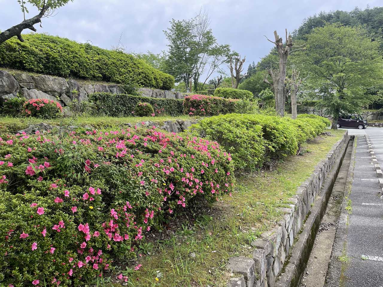 中央休憩所前風景②