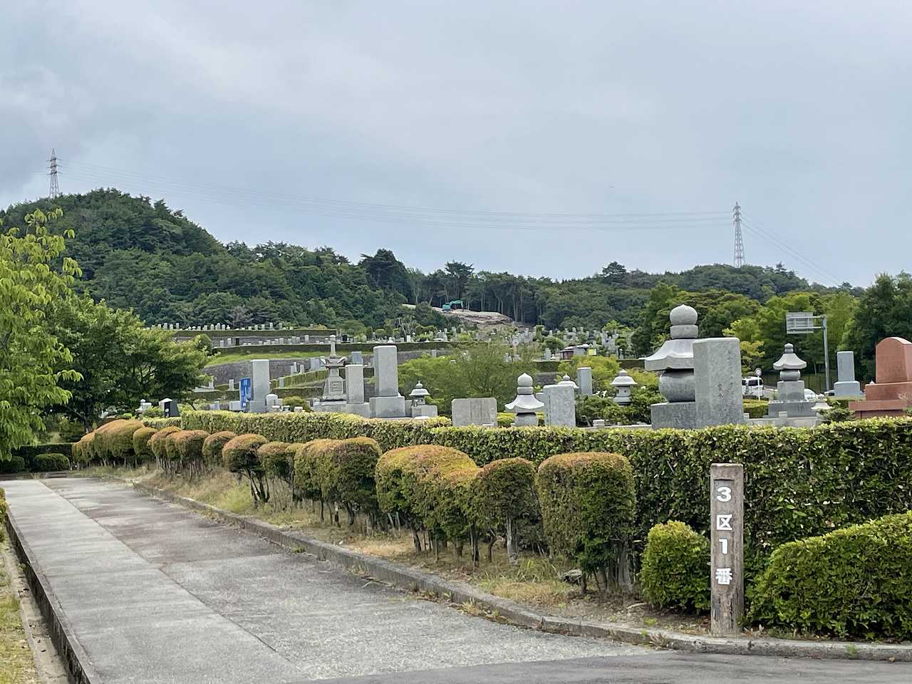 3区1-2番枝道（北東）風景