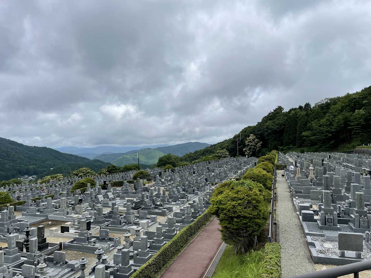 11区7番墓所から（北向き）風景