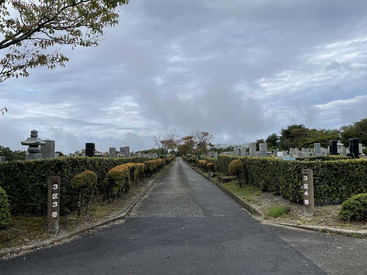 3区3/4番墓所枝道風景