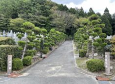 2区4/6番墓所枝道からの風景③