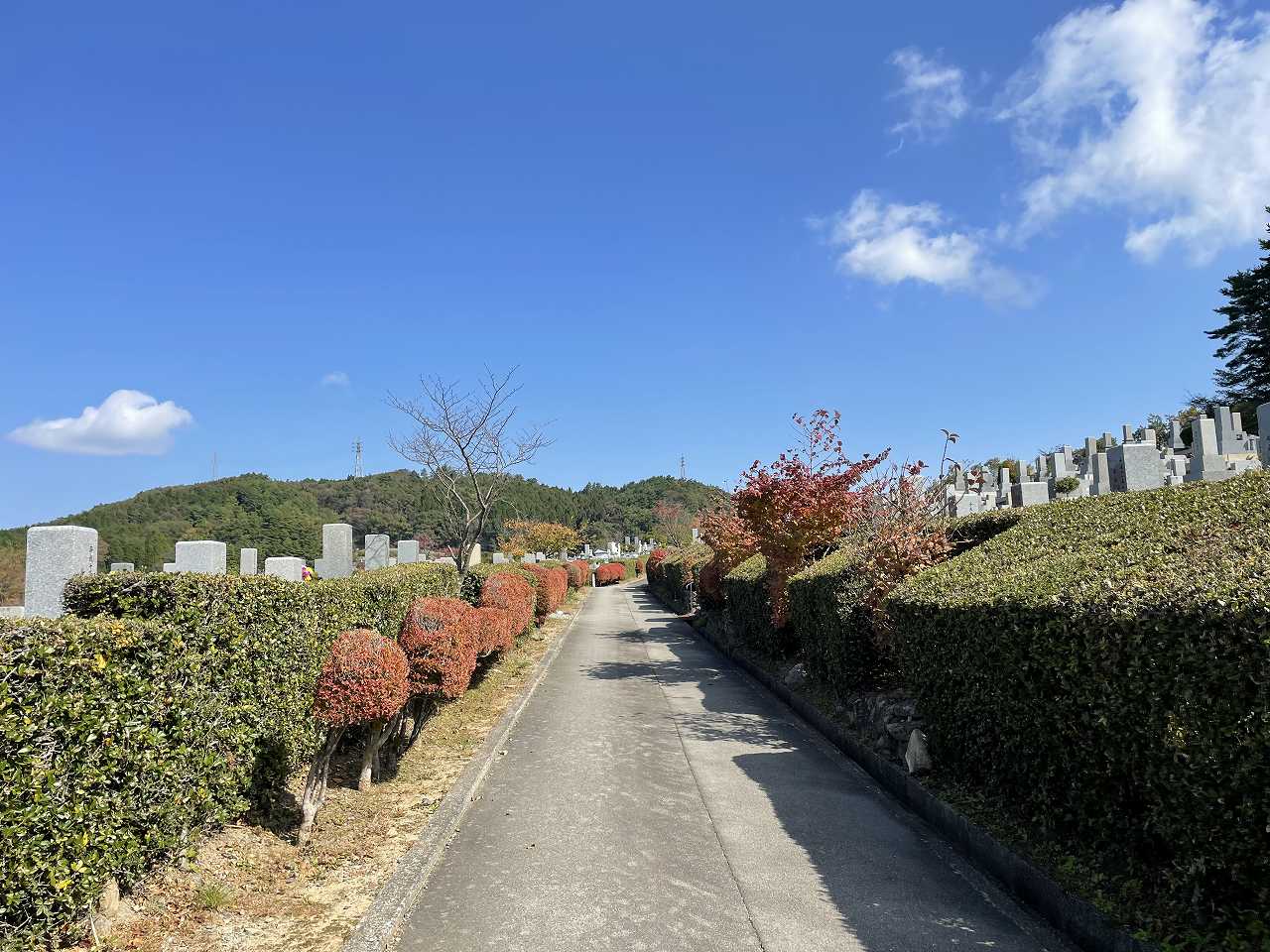 2区3/4番墓所から北東風景