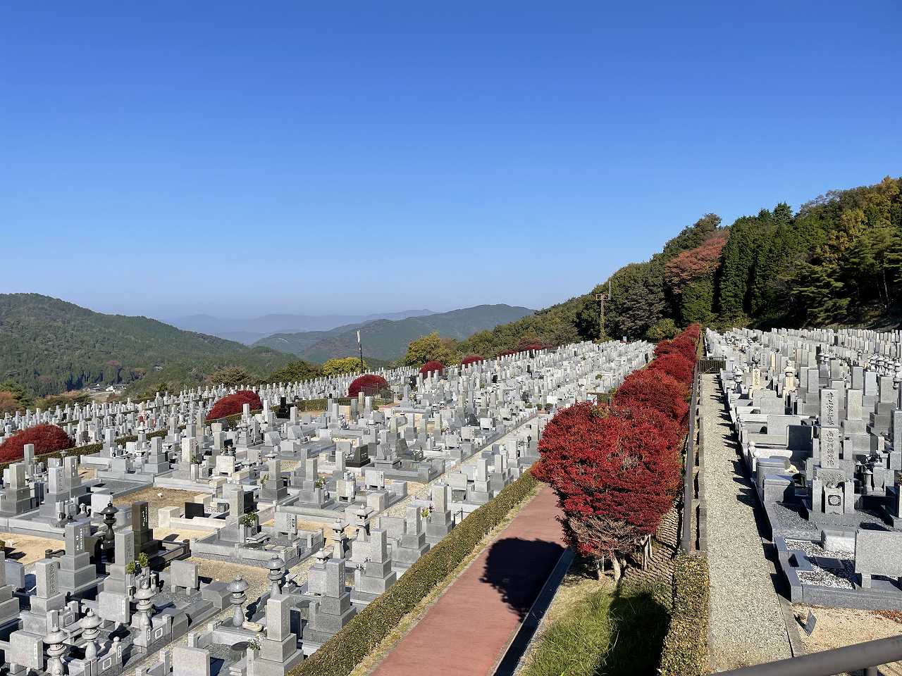 11区7番墓所から（北）風景