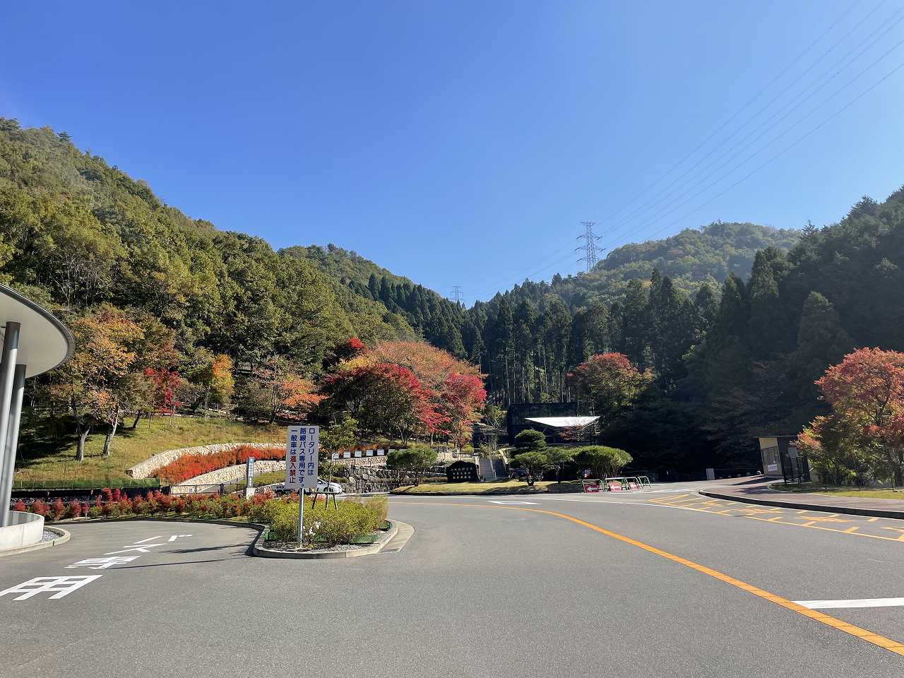 合葬式墓地・樹木葬風景