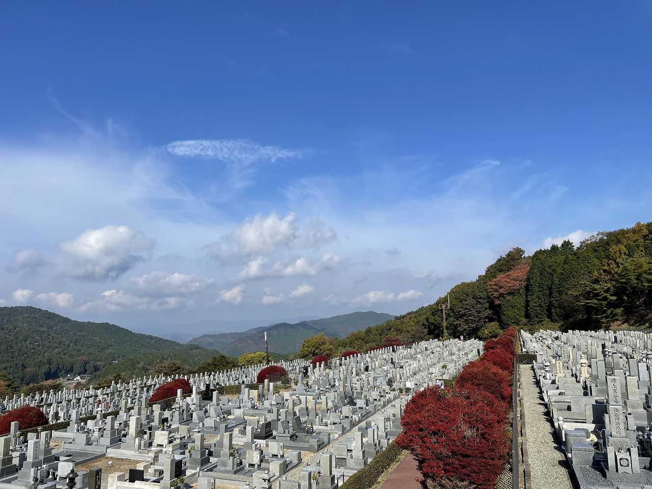 11区7番墓所から（北）風景