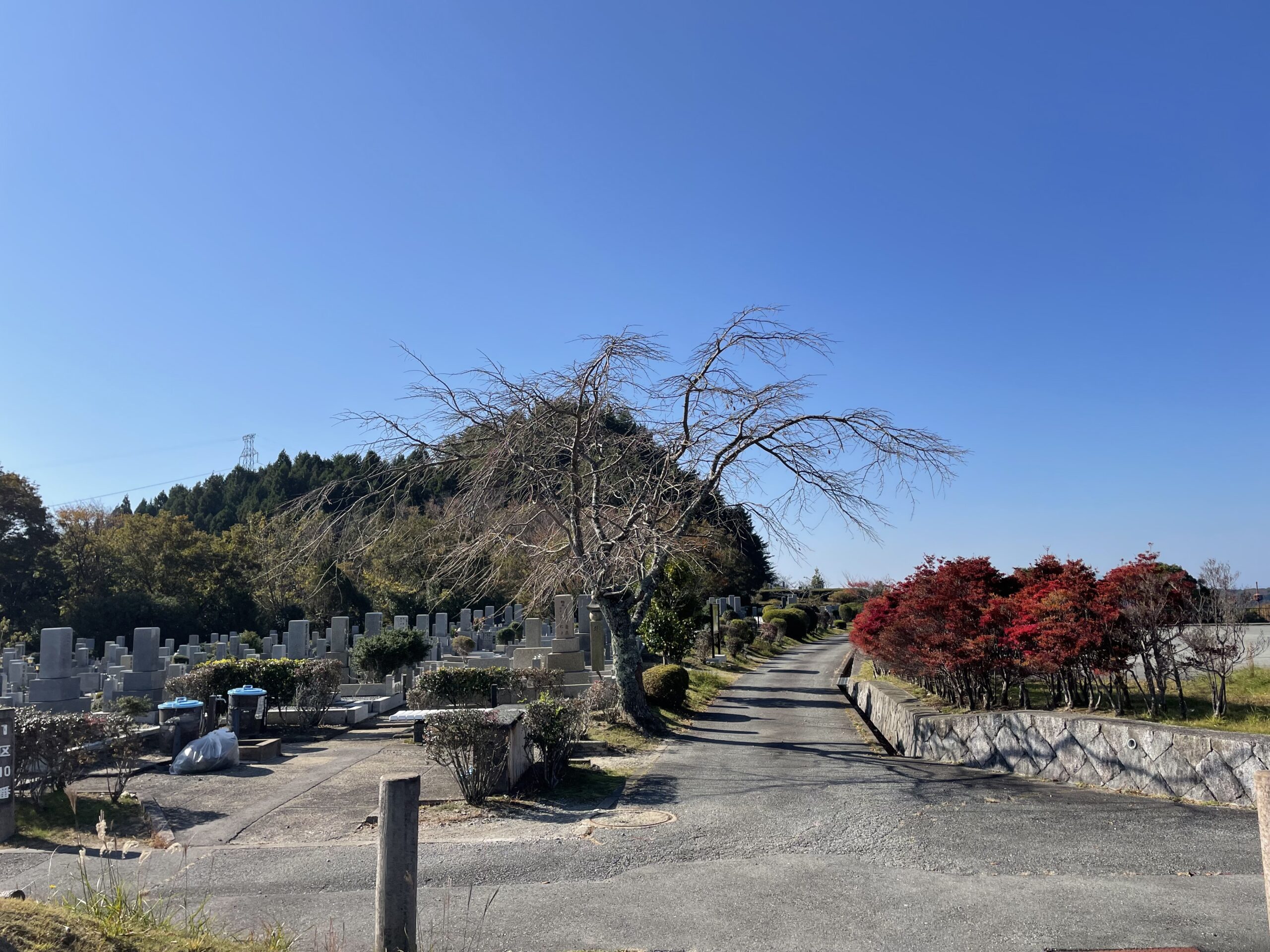 1区10番/臨時駐車場枝道風景